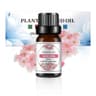 Fruit Infused Essential Oil Set For DIY Soap  Candle Making 9