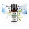 Fruit Infused Essential Oil Set For DIY Soap  Candle Making 7
