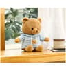 Hidden Safe Teddy Bear Plush With Secret Storage Pocket For Money Jewelry Gifts 9
