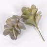 Cactus Small Ornaments Succulent Plants Green Plant Decorations Indoor Office Bonsai Garden Potted  5