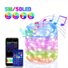 RGB LED String Lights With Bluetooth Remote  Dreamcolor Garden Party  Wedding Decor 5