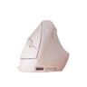 Mini Ergonomic Vertical Mouse Wireless Bluetooth  USB Adjustable DPI For Small Hands 0