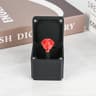 Interesting Prank Gift Middle Finger In Box Funny Creative Gifts Office Desk Decoration Home Decora 8