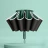 Automatic Reverse Folding Umbrella With Windproof And UV Protection 11