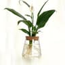 Glass Planter Propagation Station Vase Rack Tabletop Hydroponic Plants Decoration 10