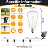 Solar Globe LED String Lights With Remote Control And USB Recharge 11