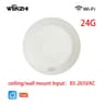ZigBee WiFi MmWave Radar Motion Sensor With Human Presence Detection For Smart Home Automation 9