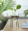 Hydroponic Plant Vase With Wooden Stand 13