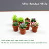 Mini Dollhouse Plant Set Pack Of 5 8