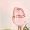 Pink Tulip Self Watering Plant Bulbs For Indoor And Outdoor Pots 6