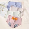 Womens Menstrual Panties Leak Proof High Waist Underwear Cotton Period Briefs Set Of 4 7