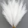 Red Faux Pampas Grass Stems For Wedding And Home Decor 5 Piece Set 13