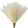Red Faux Pampas Grass Stems For Wedding And Home Decor 5 Piece Set 6