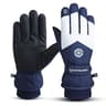Professional Waterproof Winter Ski  Snowboard Gloves 7