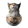 3D Animal Print Ice Silk Bandana  Cooling Breathable Face  Neck Protection 9