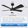 Modern Black Ceiling Fan Chandelier 15