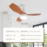 Modern Black Ceiling Fan Chandelier 21