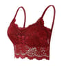 Seamless Lace HollowOut Comfort Bralette 9