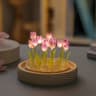 Handmade Tulip Garden LED Night Light With Glass Dome 7