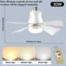 Smart Wireless Socket Ceiling Fan Light 6