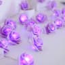Velvet Petal Rose Fairy Strings 6