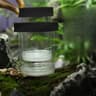DualChamber Aquarium Breeding Box And Fry Isolation Hatchery 8