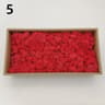 Eternal Life Artificial Moss Premium DIY Craft  Landscape Greenery 12