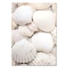 Nordic Wall Art  White Shell Beach Flowers  Dandelion Canvas Prints For Minimalist Living Room Home 7