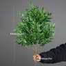 Tall Artificial Eucalyptus  Tropical Willow Foliage 8