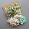 Botanical Narrative Elements  HighDefinition Preserved Floral Materials 13