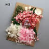 Botanical Narrative Elements  HighDefinition Preserved Floral Materials 16
