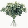 Arboreal Narrative Stems  HighDefinition Eucalyptus Architectural Ornament 9