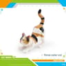 Feline Narrative Sculpture  HighDefinition Lying Orange Cat Architectural Ornament 8
