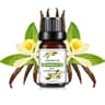 Natural Plant Fruit Essential Oil 10 Ml 15