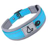 EndurancePro Padded Reflective Dog Collar 7