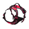 EliteCommand NoPull Tactical Dog Harness 8