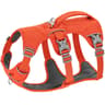 SecureGuard Escape Proof Tactical Dog Harness 7
