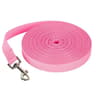 HighTensile Nylon Training Lead  MultiLength Versatile Traction Rope For Small To Large Dogs 12