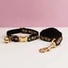 Premium Adjustable Metal Hardware Cat Collar  Leash Set 8