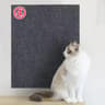 Customizable AntiScratch Adhesive Carpet Protector 11
