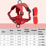 AntiEscape Reflective Mesh Cat Harness And Leash Set 7