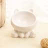 Ergonomic Elevated Ceramic Pet Bowl 7