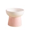 ZenithCurve Elevated Ceramic Feeding Dish 8