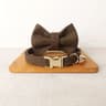 Personalized Bowtie Cat Collar  Custom Engraved Nameplate Safety Necklace With Bell For Kittens  Sm 12