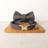 Personalized Bowtie Cat Collar  Custom Engraved Nameplate Safety Necklace With Bell For Kittens  Sm 13