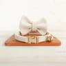 Personalized Bowtie Cat Collar  Custom Engraved Nameplate Safety Necklace With Bell For Kittens  Sm 16
