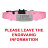 Customized Personalized ID Breakaway Cat Collar With LaserEngraved Safety Plate 11