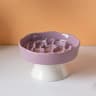 Elevated Ceramic SlowFeeding Cat Bowl 10