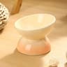 Ceramic Elevated Orthopedic Cat Bowl 9