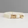 Personalized Luxury Velvet Cat Collar Set 15